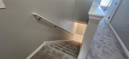 1048 Sleepy Oak Dr in Wesley Chapel, FL - Building Photo - Building Photo