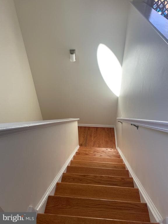 9470 Scarlet Oak Dr in Manassas, VA - Building Photo - Building Photo