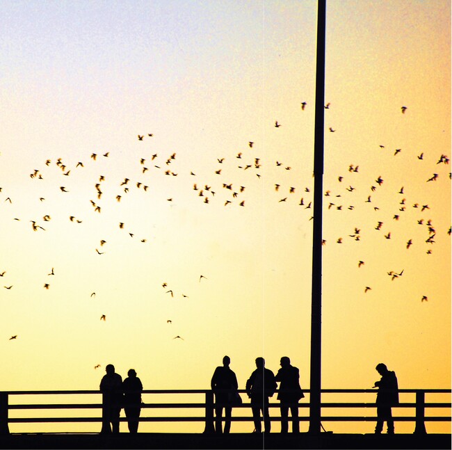 Augustine in Austin, TX - Building Photo - Building Photo