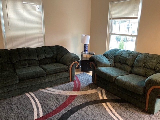 35213 Taffy Dr, Unit Condo on 15 MileVan Dyke in Sterling Heights, MI - Building Photo - Building Photo