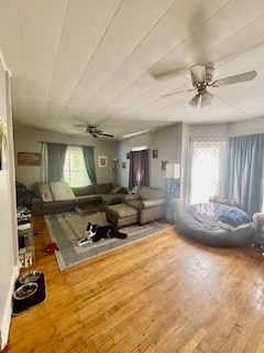 207 S Yale St in Vermillion, SD - Building Photo - Building Photo