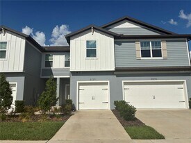 31371 Amberview Bnd in Wesley Chapel, FL - Building Photo