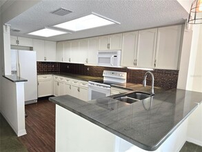 346 Madeira Cir in St. Petersburg, FL - Building Photo - Building Photo