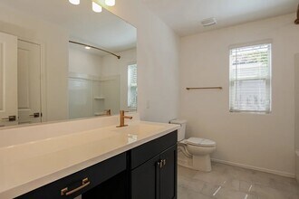 2436 W Jessica Ln in Phoenix, AZ - Building Photo - Building Photo
