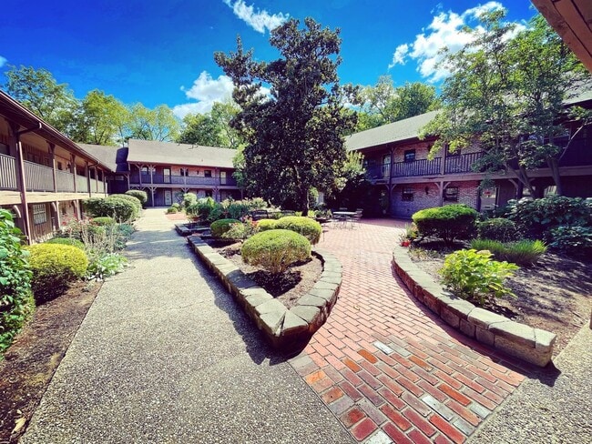 221 N Clifton Ave in Louisville, KY - Building Photo - Building Photo