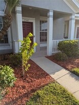 25403 Saddlehorn Way in Land O Lakes, FL - Building Photo