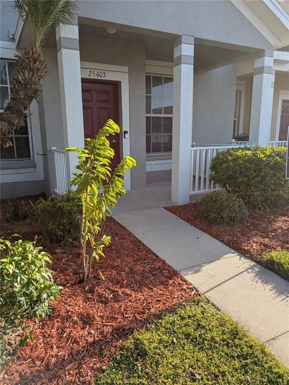 25403 Saddlehorn Way in Land O Lakes, FL - Foto de edificio - Building Photo