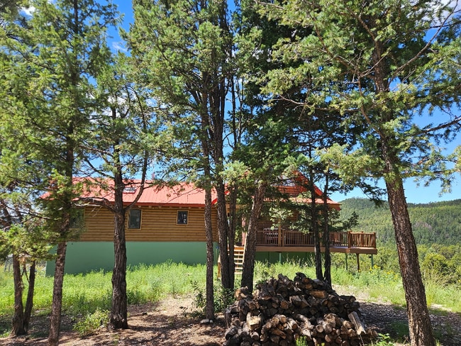 387 County Rd B64 in Pecos, NM - Foto de edificio - Building Photo