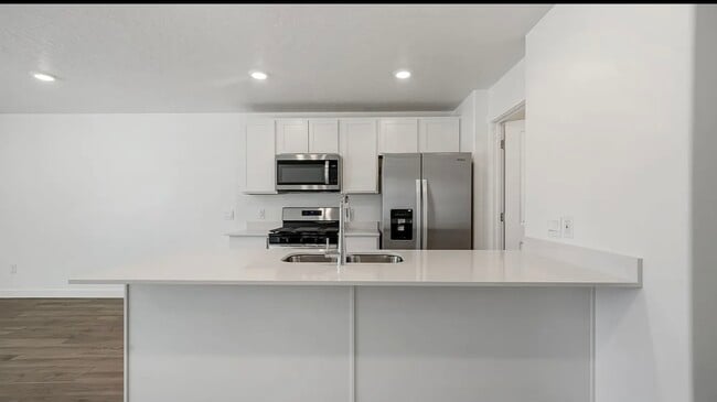 241 N Salty Ln in Saratoga Springs, UT - Building Photo - Building Photo