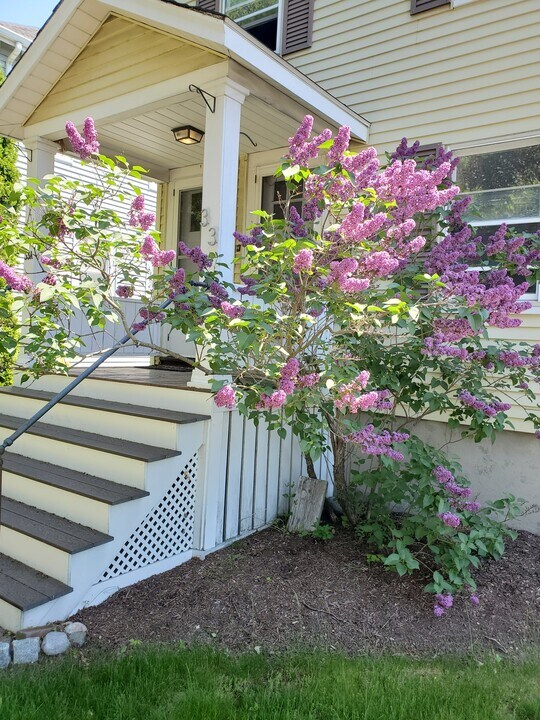 33 Flett Rd, Unit 1 in Belmont, MA - Building Photo