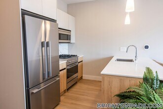 249 Corey Rd in Boston, MA - Building Photo - Building Photo