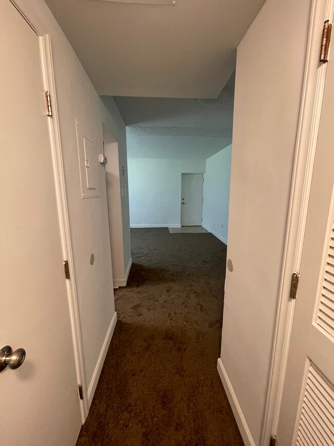 742 Brandywine St SE, Unit B1 in Washington, DC - Building Photo - Building Photo