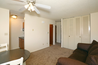 Village West Apartments in Aurora, IL - Foto de edificio - Interior Photo