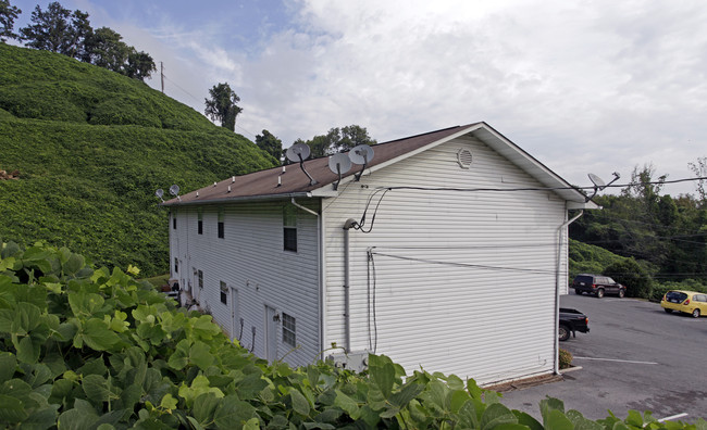 220 Hazel Dr in Sevierville, TN - Foto de edificio - Building Photo