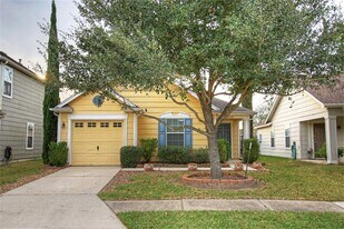 29511 Evergreen Hills Dr in Spring, TX - Building Photo