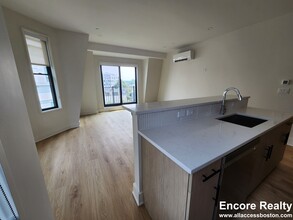 69 Bailey St, Unit 308 in Boston, MA - Building Photo - Building Photo