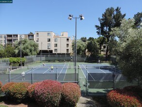310 N Civic Dr in Walnut Creek, CA - Building Photo - Building Photo