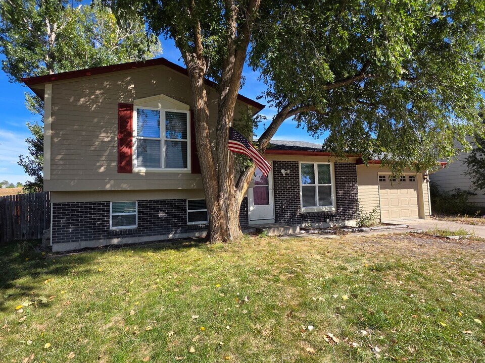 11246 Donley Dr in Parker, CO - Building Photo