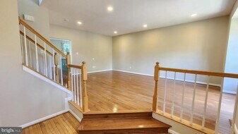 14773 Truitt Farm Dr in Centreville, VA - Building Photo