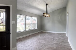 3722 Quiet Pl Dr in Houston, TX - Building Photo - Building Photo