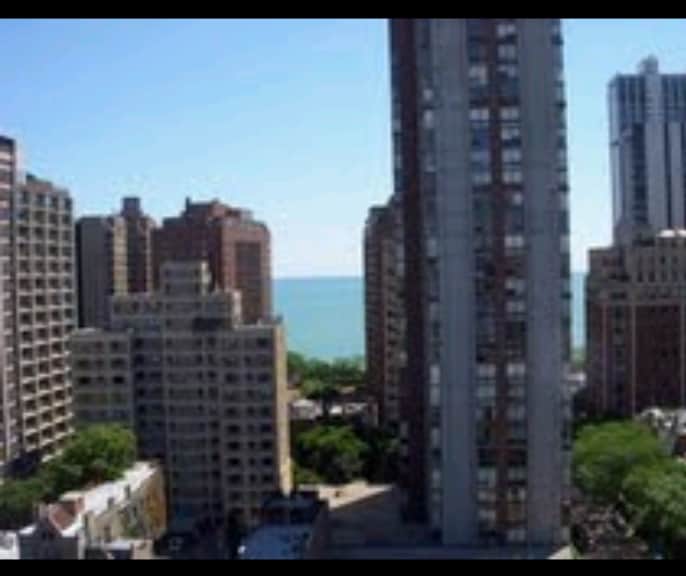 1339 N Dearborn St, Unit 14B in Chicago, IL - Foto de edificio