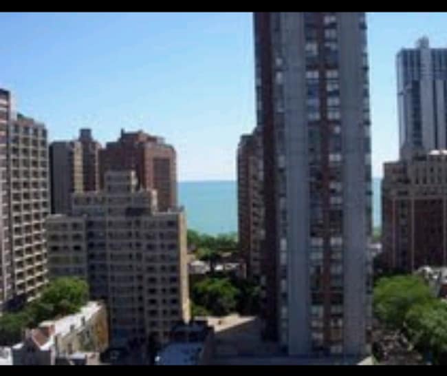1339 N Dearborn St, Unit 14B