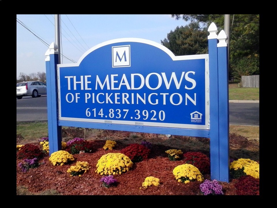 The Meadows in Pickerington, OH - Building Photo