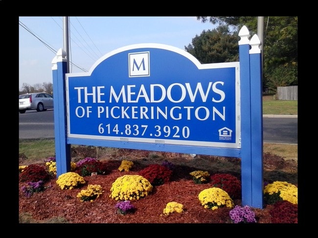 The Meadows