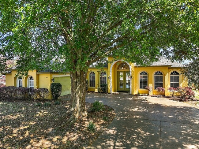 property at 1981 Longhorn St