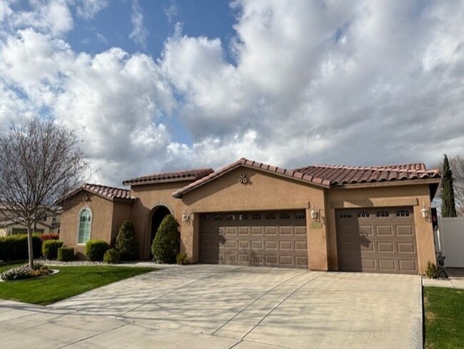 property at 14504 Yellow Lupine Dr