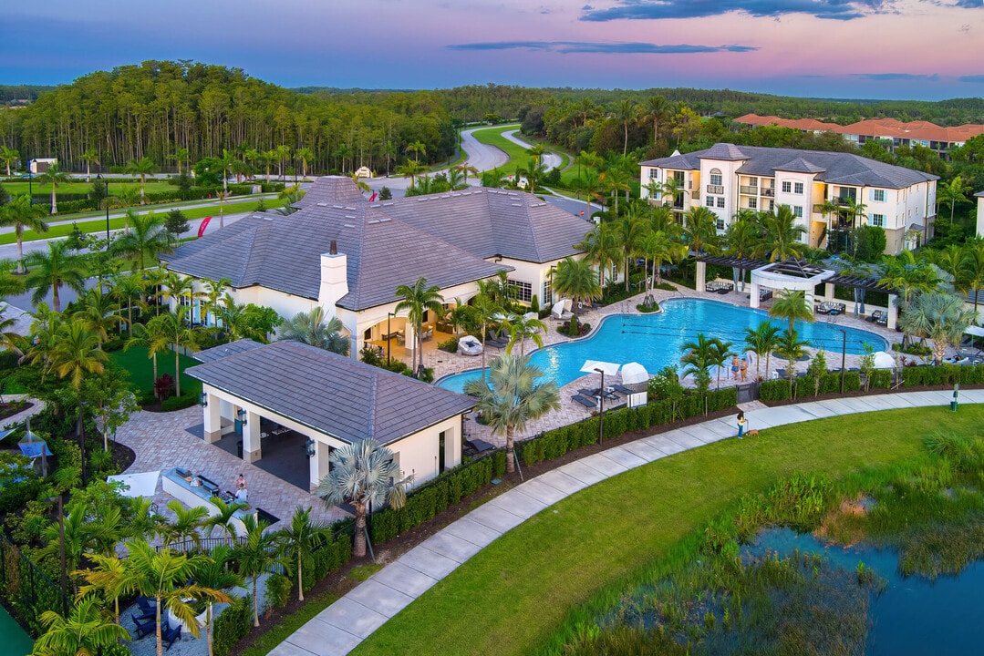 Town Treeline in Ft. Myers, FL - Foto de edificio