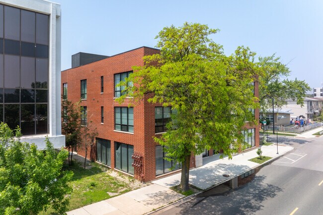 Pulaski Place in Chicago, IL - Building Photo - Building Photo