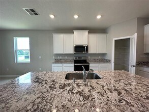 12456 Nantahala Run in Duette, FL - Building Photo - Building Photo