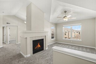 12888 Ironstone Way in Parker, CO - Building Photo