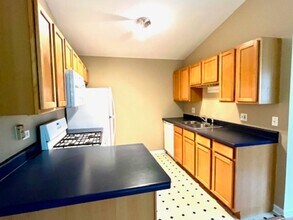 1303 N Red Oak Cir in Round Lake Beach, IL - Building Photo - Building Photo