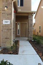 3907 Lexington Grove Ct in Missouri City, TX - Building Photo - Building Photo
