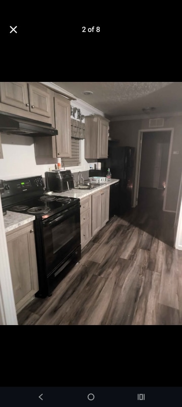 1659 Daffodil Ave in Apopka, FL - Foto de edificio - Building Photo