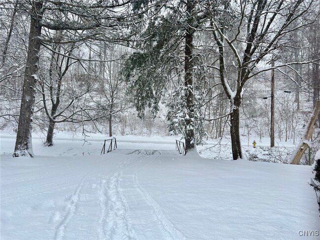 21 Otter Creek Pl in Cortland, NY - Building Photo - Building Photo