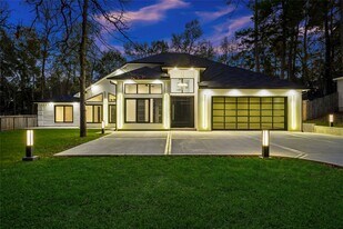 2438 Carriage Lamp Ln in Conroe, TX - Building Photo