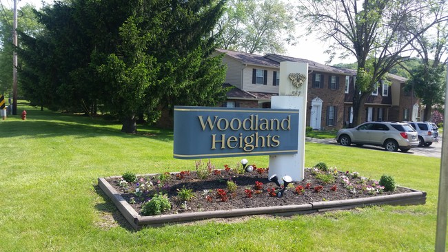 Woodland Heights photo'