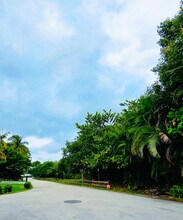 1000 Palm Trail in Delray Beach, FL - Building Photo - Building Photo