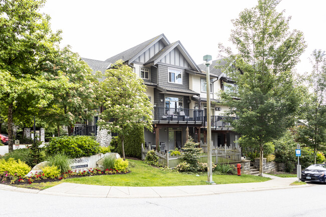 Cobalt Sky in Port Moody, BC - Building Photo - Building Photo