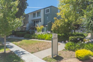 Rancho Sol in Fremont, CA - Building Photo