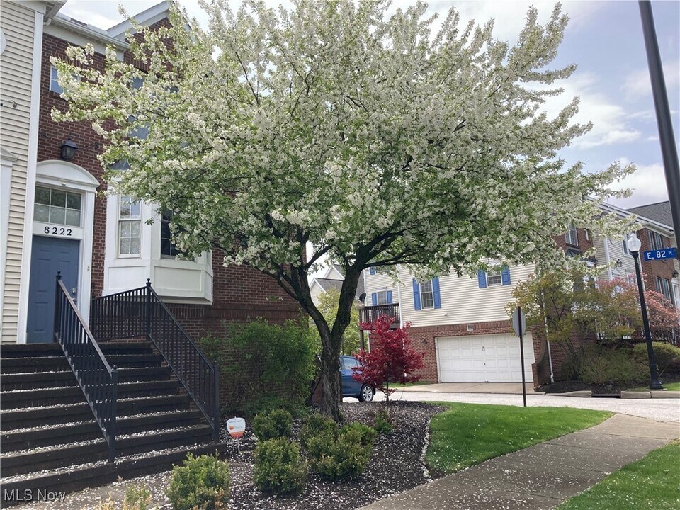 8222 Chester Pkwy in Cleveland, OH - Building Photo