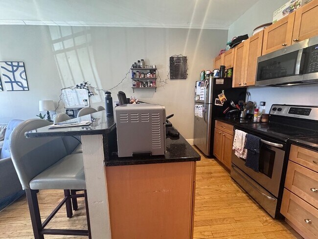 233 Northampton St, Unit 1 in Boston, MA - Building Photo - Building Photo