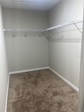 34209 Scarlet Sage Ct in Wesley Chapel, FL - Foto de edificio - Building Photo