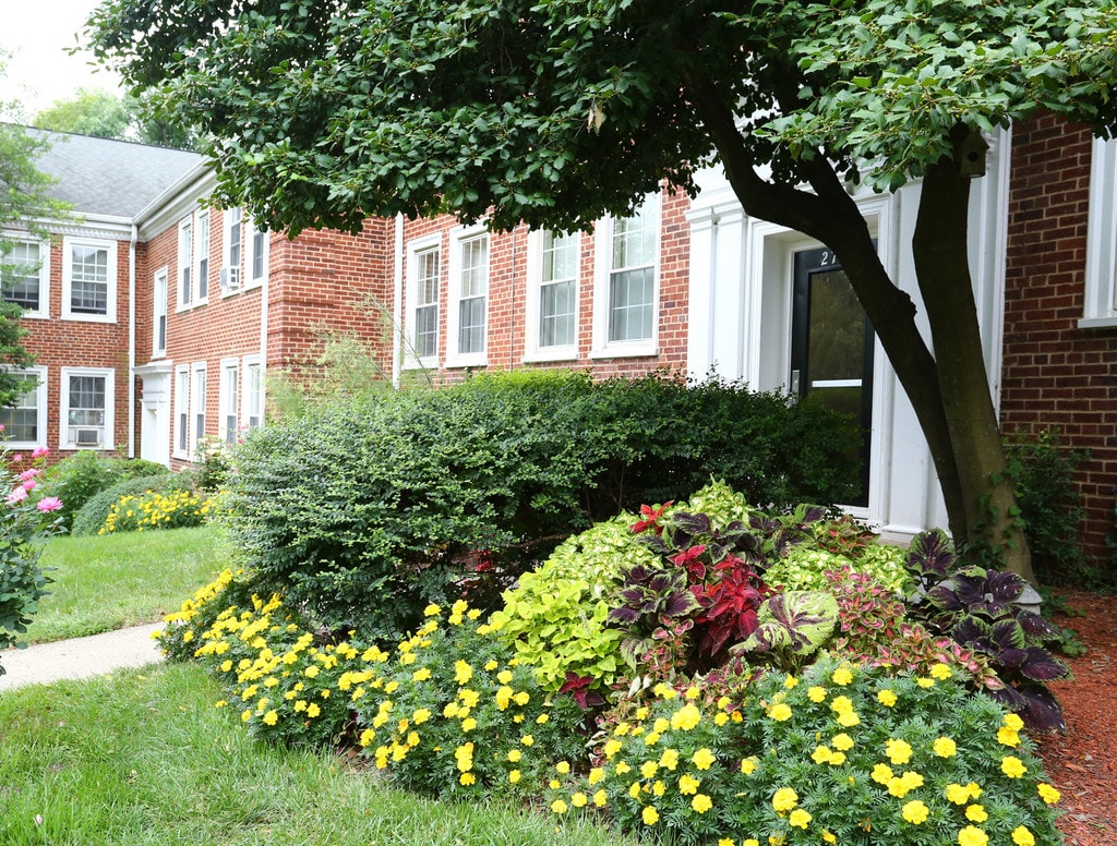Naylor Gardens Apartments Washington, DC Apartments For Rent