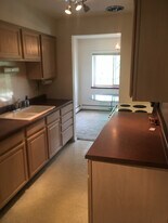 2315 E Olive St in Arlington Heights, IL - Building Photo