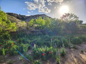 11120 Gentry Ln in Slaton, TX - Building Photo - Building Photo