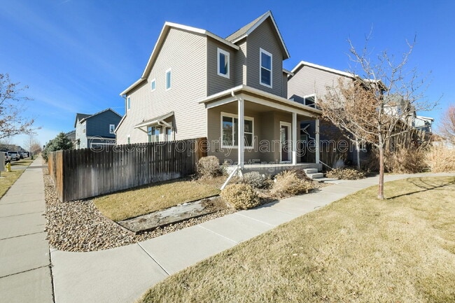 4647 Crestone Peak St in Brighton, CO - Building Photo - Building Photo